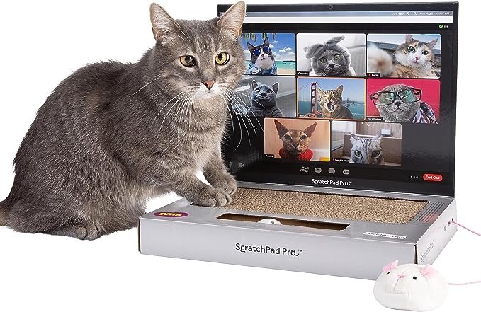 best gifts for cat lovers